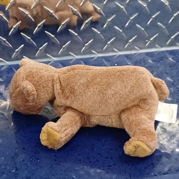 -Ty Beanie Baby - PECAN THE BEAR Beanbag Sitting Plush [Toy] - Picture 2 of 7